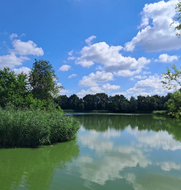 Bufferbekken Kleit-Maldegem