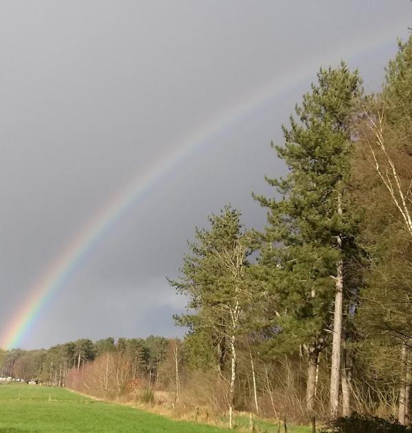 Nieuwjaar Wandeling