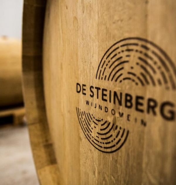 De Steinberg
