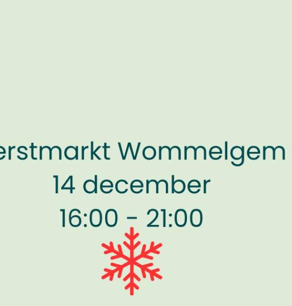 Kerstmarkt Wommelgem