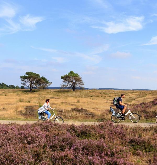 fietsroute Bijzonder Mooi Ede