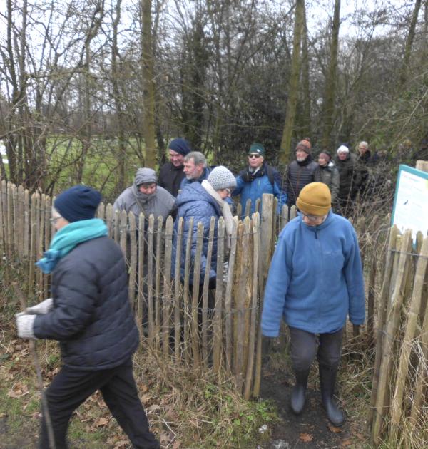 winterwandeling kontich