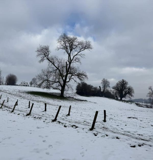 op zaterdag in de sneeuw ? of in het groen ?