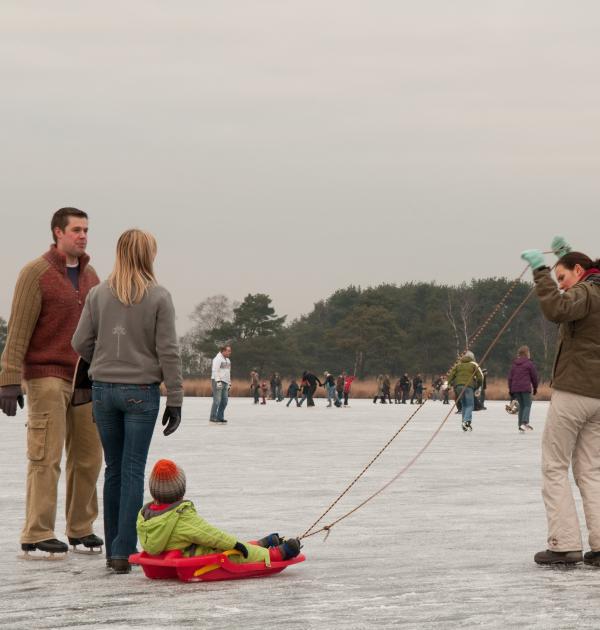 Schaatsen op Kalmthoutse heide