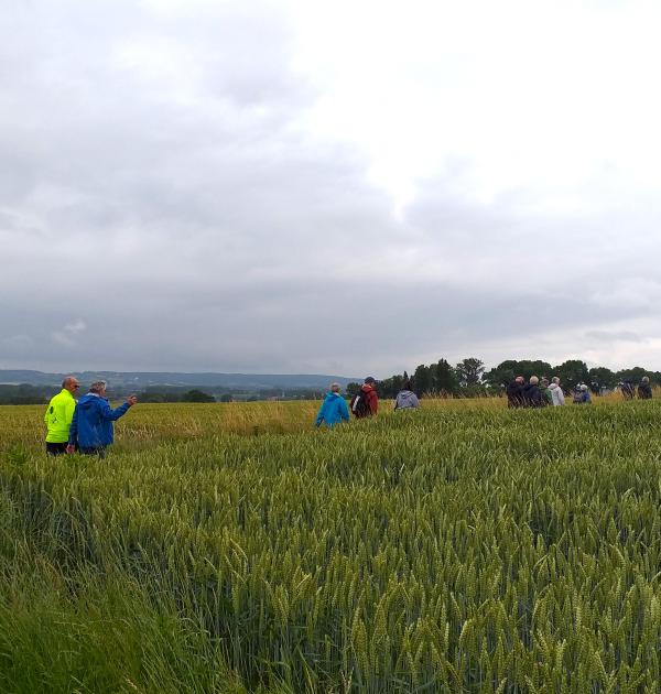 Dagwandeling Wortegem