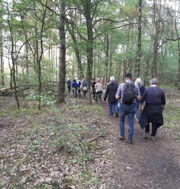 Stiltewandeling