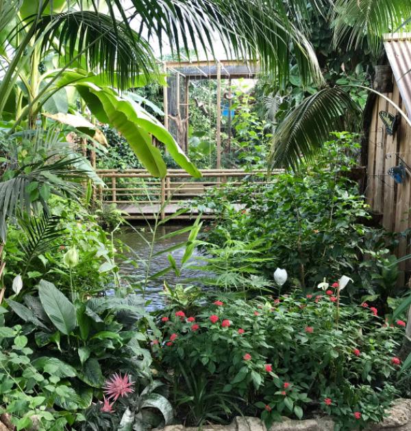 Zoo