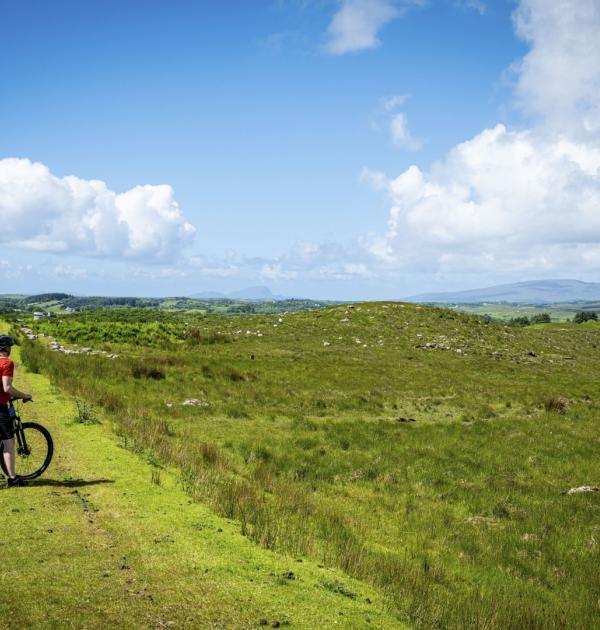 Ierland