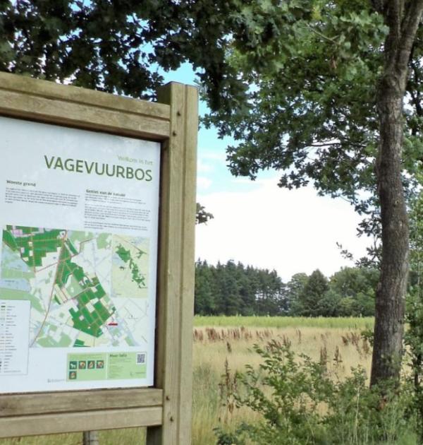 Vagevuurbos