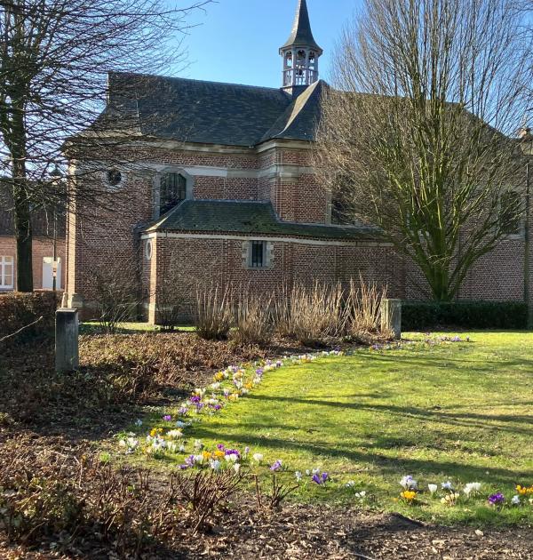 wortel kolonie