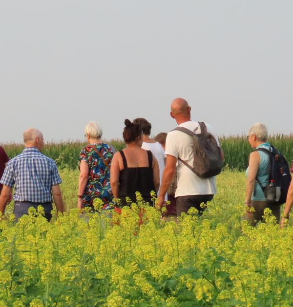 Wandelaars tijdens een prachtige zomervond