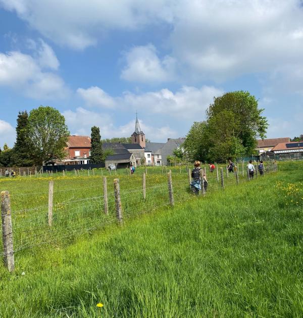 dagwandeling