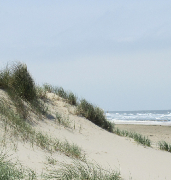 Belgische kust