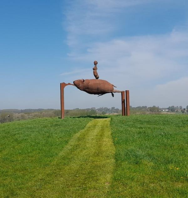 Congoberg