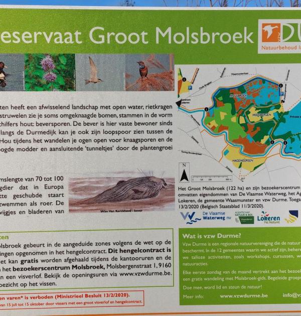 MOLSBROEK