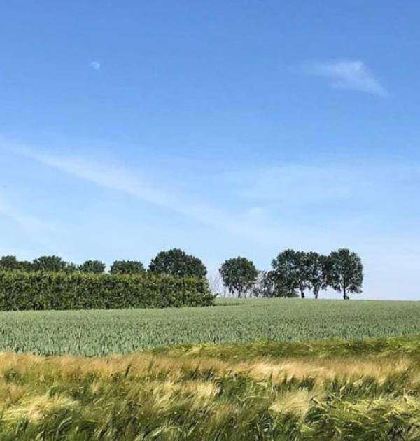 Boeslinterwandeling
