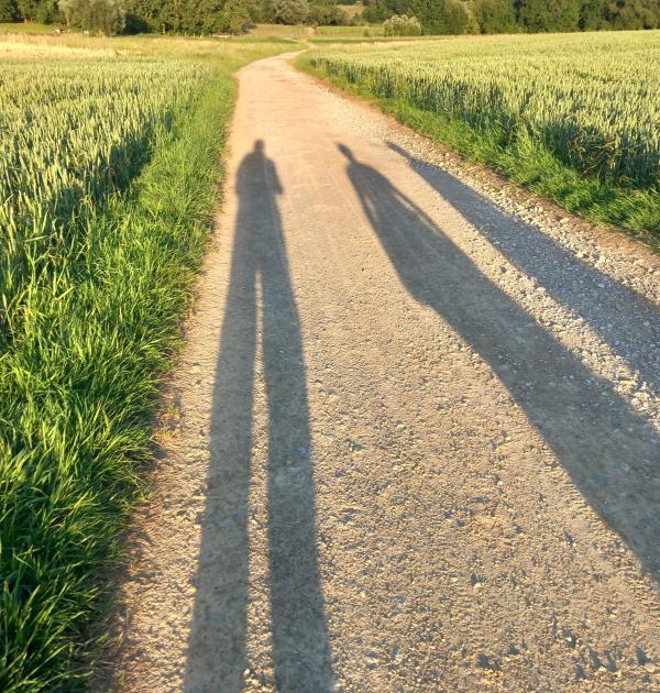 Schaduwen van wandelaars op een landweg.