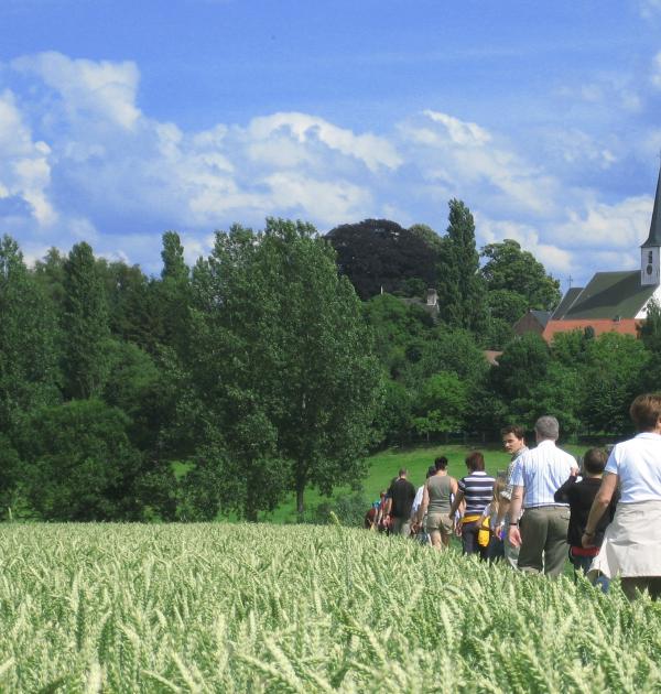 Wandelen oor Horebeke