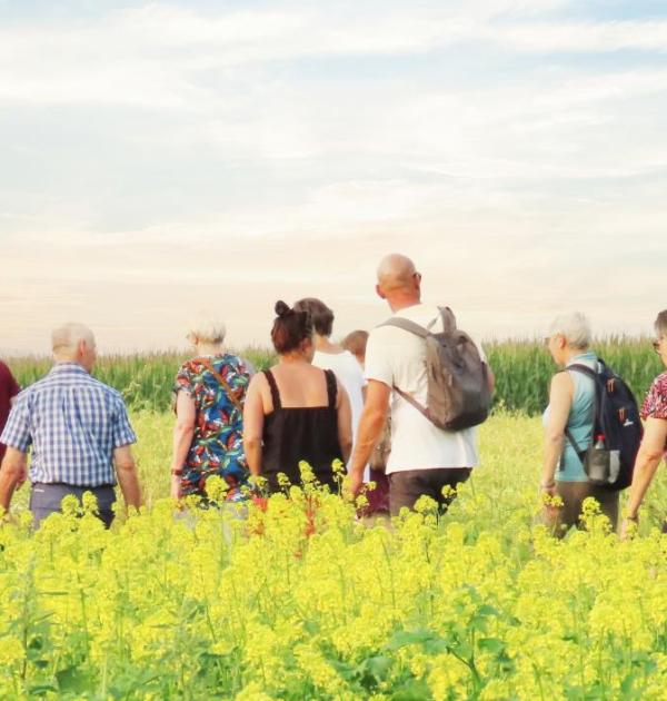 Groep wandelt door een veld.