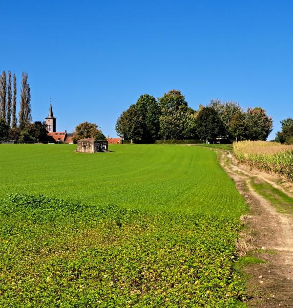 wandelen