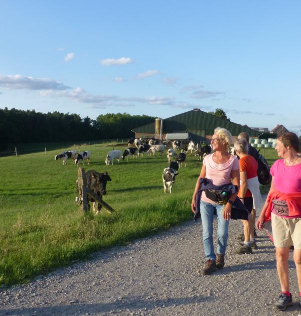 Landelijke wandeling