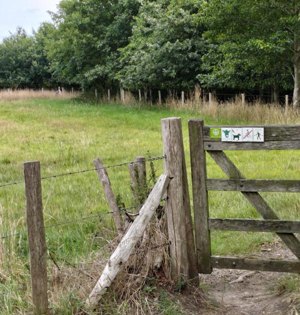 Dagwandeling