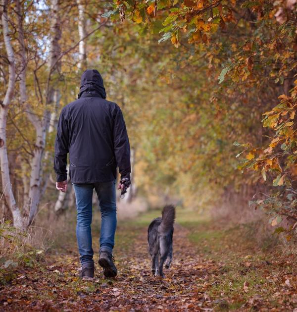 Herfstwandeling