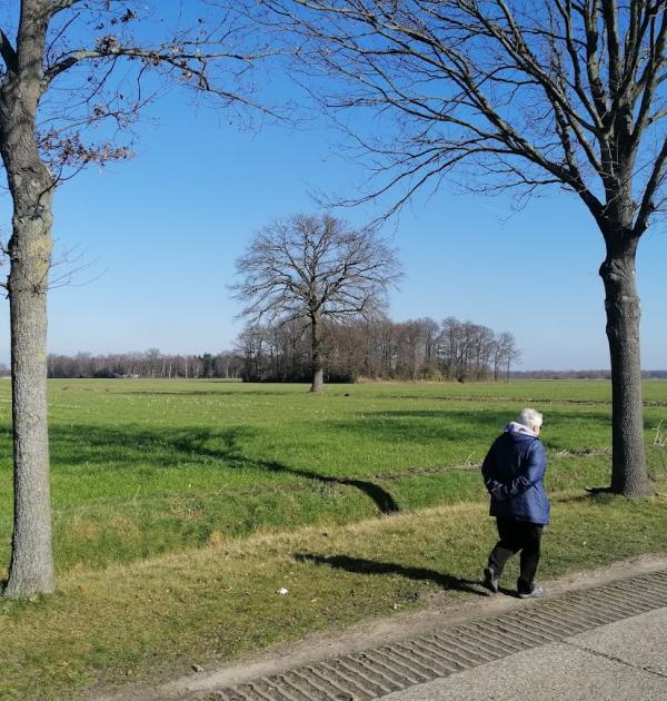 Nieuwjaar Wandeling