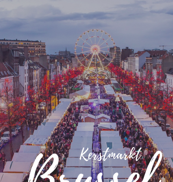 daguitstap winterpret Brussel