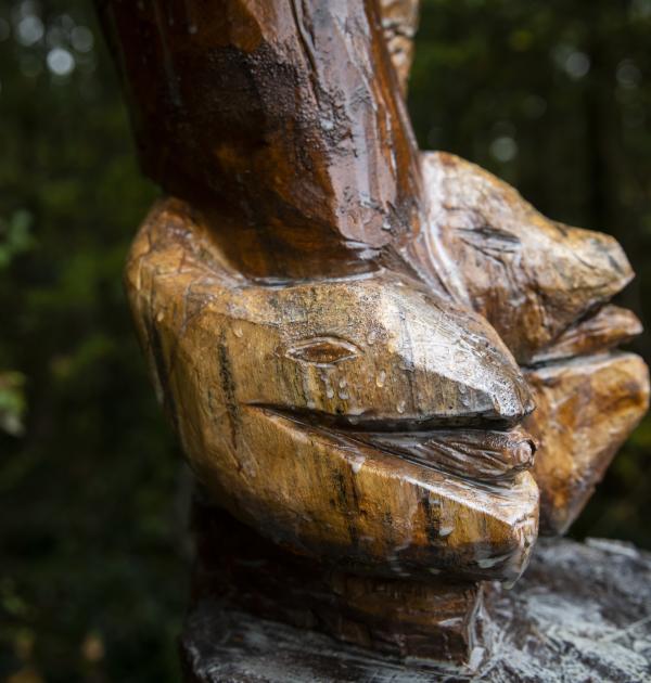 Ellen Van den Bouwhuisen