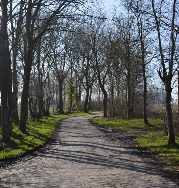 Kasseiweg naar top Meetjeslandse Cuesta