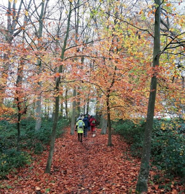 Bibbertocht Londerzeel