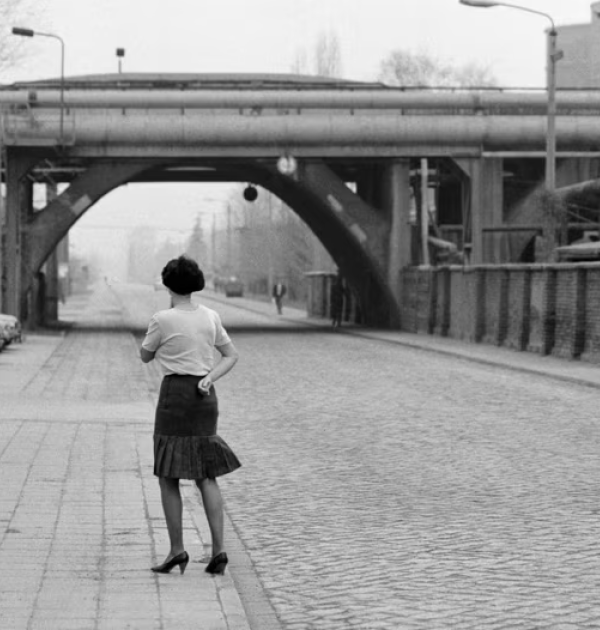 PhotoBrussels Festival 