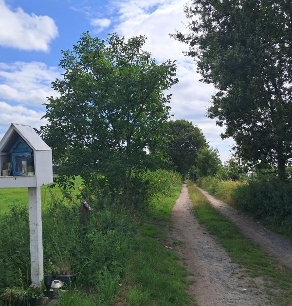 Trage Weg naar Stuivenberg