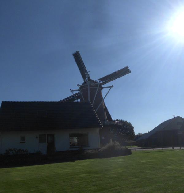 Er staan meer molen die je kan bezoeken