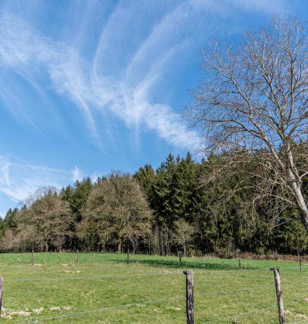 Houffalize
