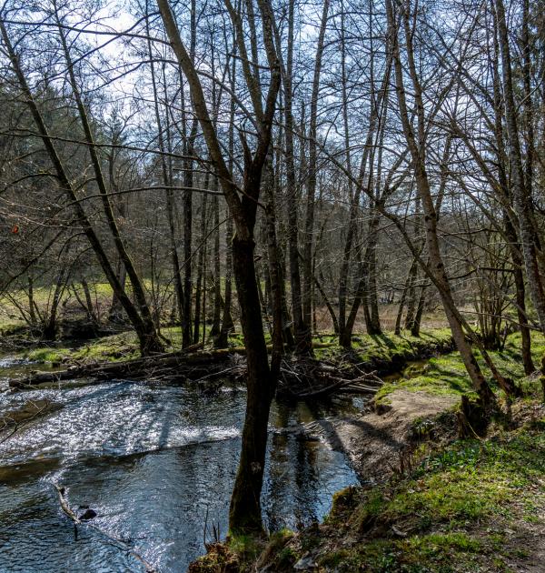 Houffalize