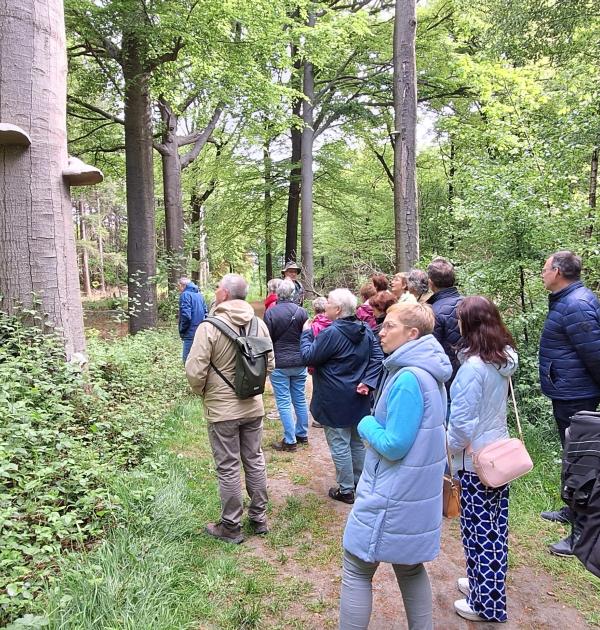 Natuurwandeling Vagevuurbos Wingene