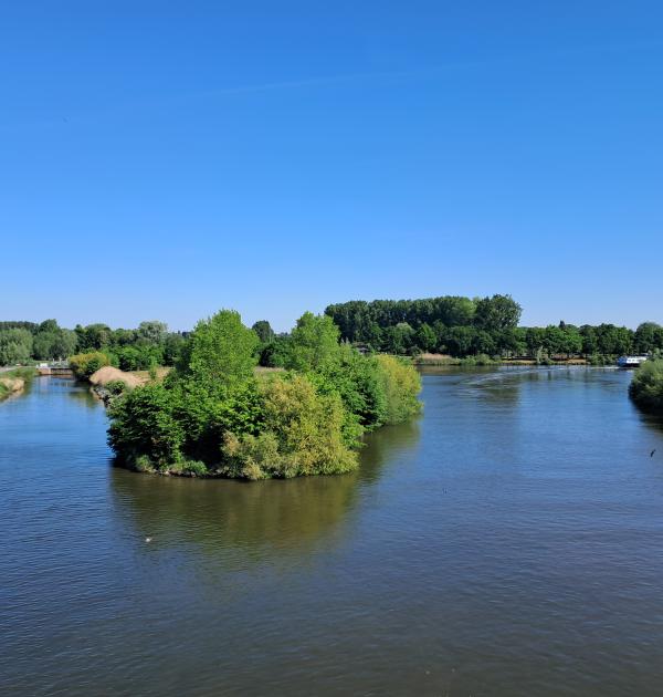 Het eiland in het Schipdonkkanaal
