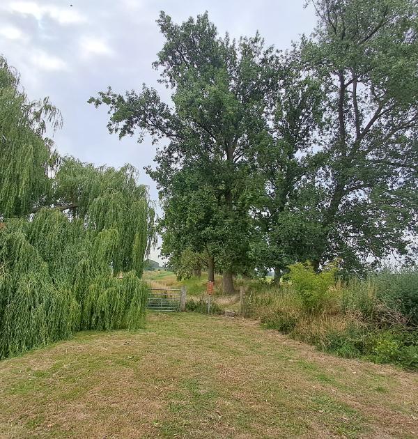 Olmendijkje met Naastliggende Oude Haven