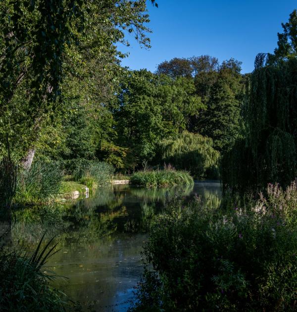 Dagwandeling Brussel