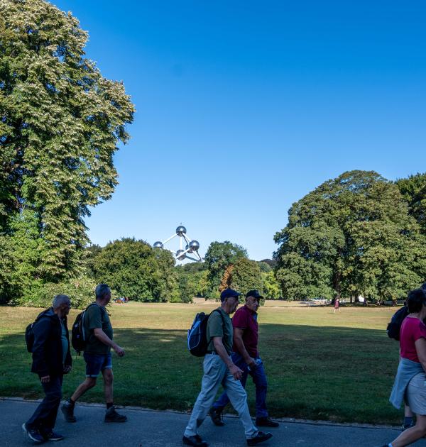 Dagwandeling Brussel