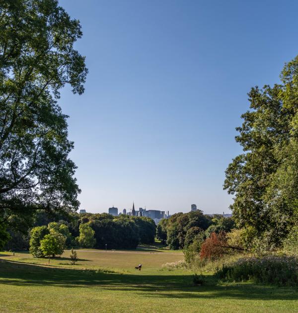 Dagwandeling Brussel