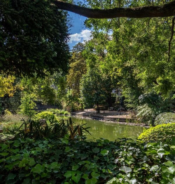 Dagwandeling Brussel