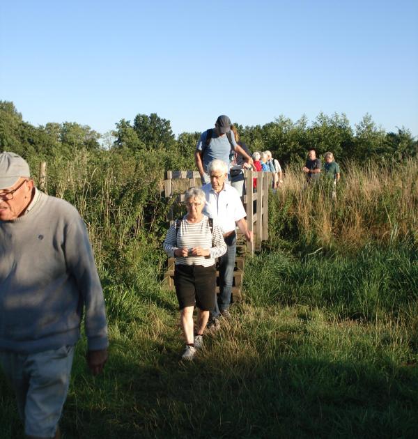 Edegemse Beekvallei in Edegem