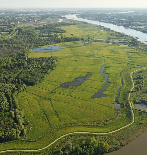 De nieuwe polder in Kruibeke