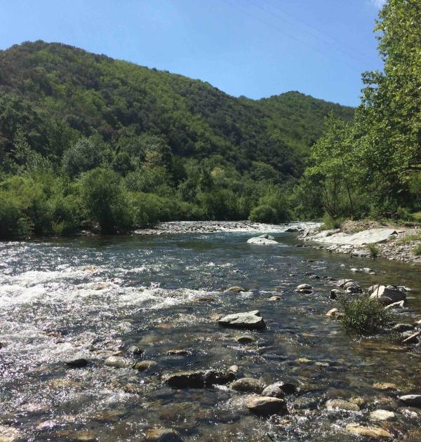 Hoofdfoto Camping Les Gorges De L'hérault