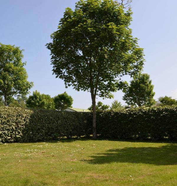 Hoofdfoto Camping Les Logeries