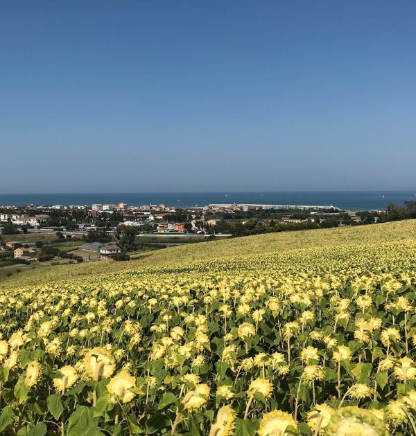 Hoofdfoto Agricamping Abbruzzetti