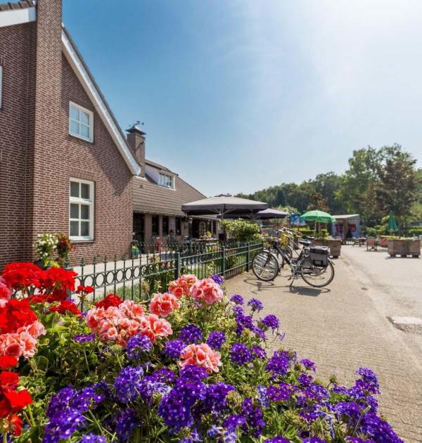 Hoofdfoto Camping Hoeve De Schaaf